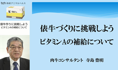 俵牛づくりに挑戦しよう